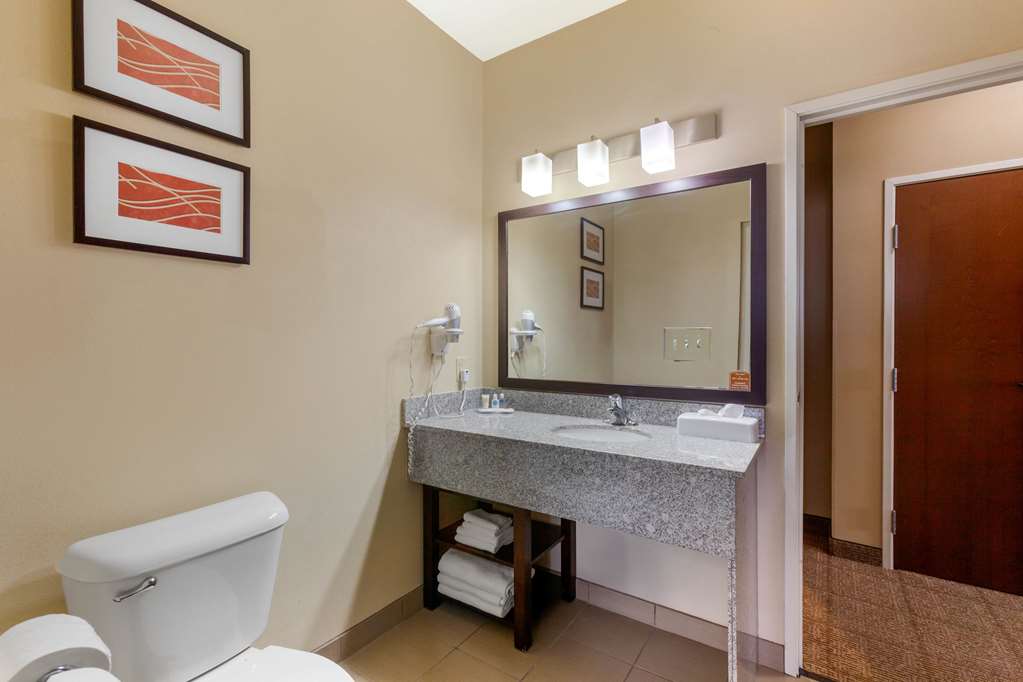 Comfort Inn & Suites Page at Lake Powell - photo 21