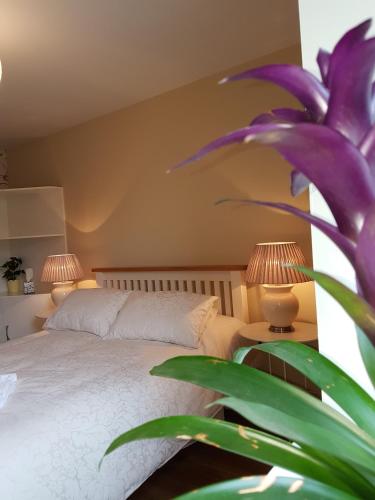 Glenbower House — 4-Star Luxury Hotel in Cork, Republic of Ireland
