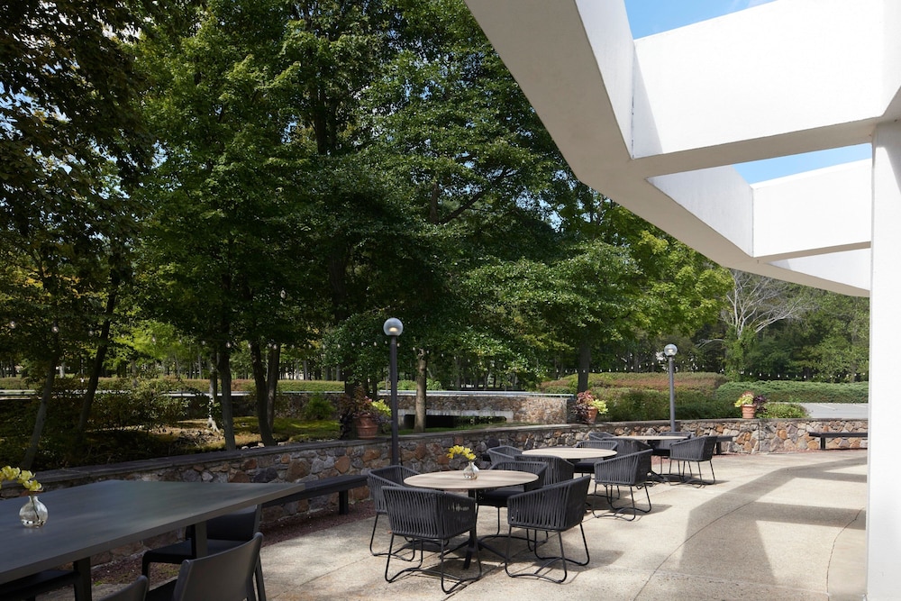 Marriott Park Ridge - photo 45