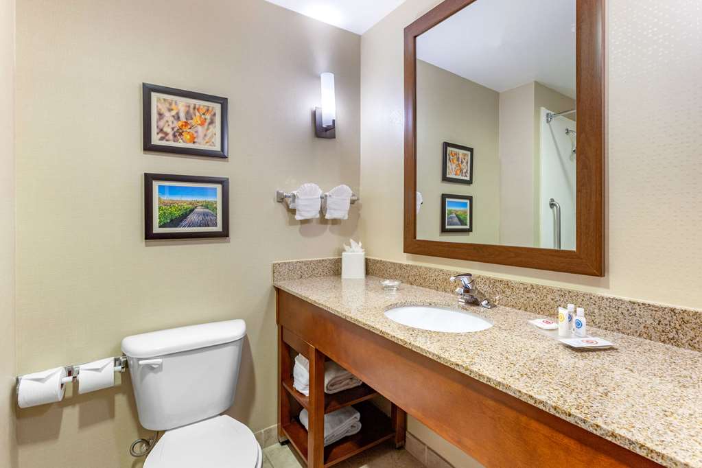 Comfort Suites Glendale State Farm Stadium Area - photo 26