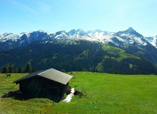Alpenrose Hotel Garni in Gerlos, Austria