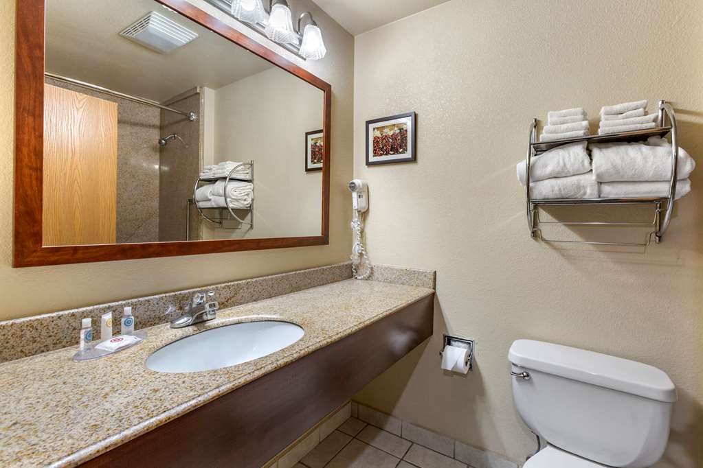 Comfort Inn & Suites Deming - photo 30