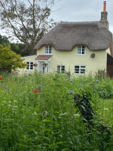 Primrose Cottage — 4-Star Luxury Hotel in Moreton, United Kingdom