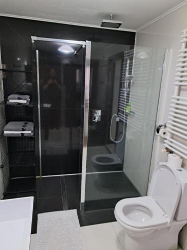 Vila Carolina Apulum — 4-Star Luxury Hotel in Alba Iulia, Romania