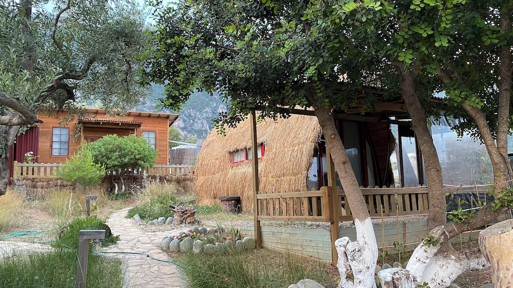 Geko Akbuk in Mugla, Turkey