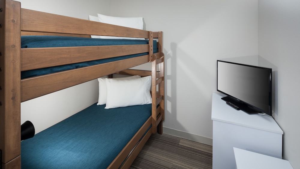 Holiday Inn Express & Suites Orlando at SeaWorld by IHG - photo 18