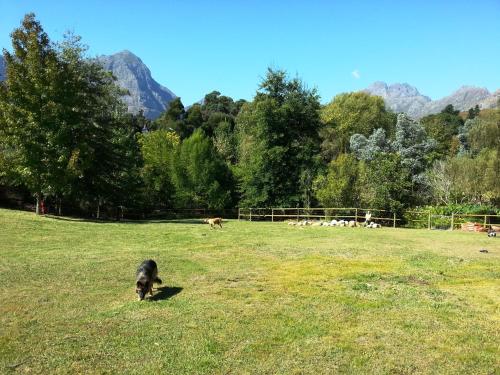 Glasshouse in the Winelands in Stellenbosch, South Africa