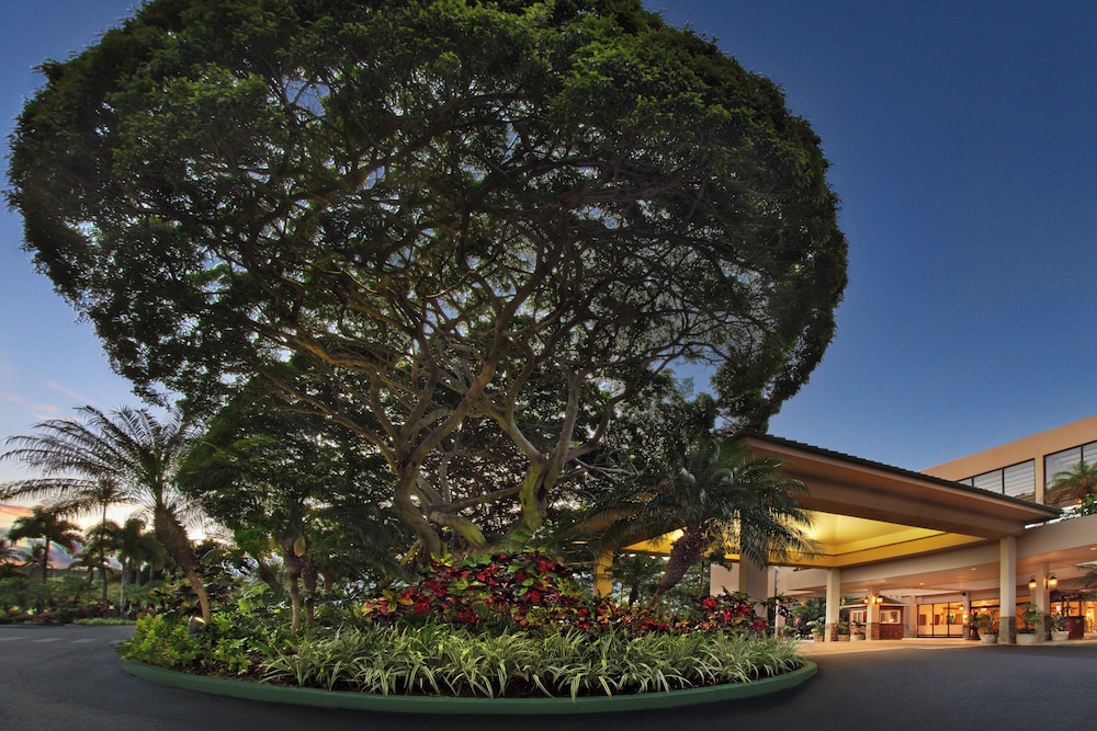 Marriott's Maui Ocean Club Lahaina & Napili Towers - photo 66