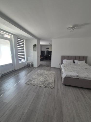 Paul’s Houses 2 in Ocna Mures, Romania