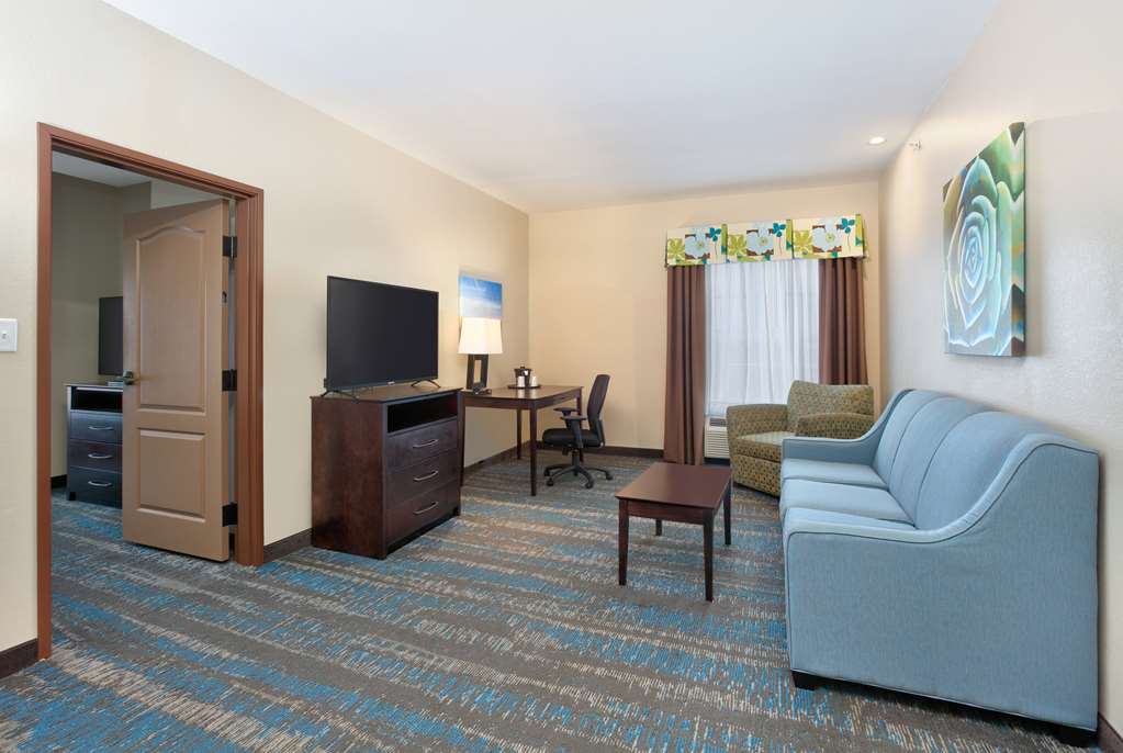 La Quinta Inn & Suites by Wyndham Dallas Grand Prairie South - photo 56