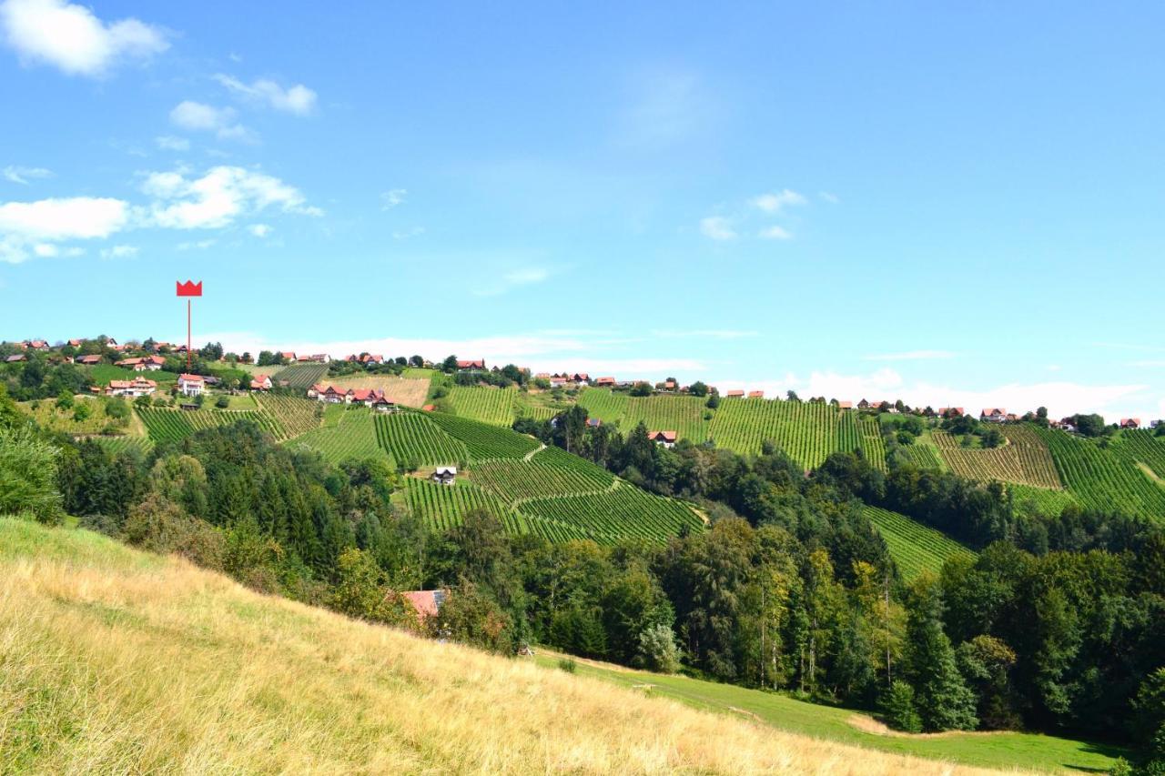 Schilcher Residenz — hotel in Greisdorf