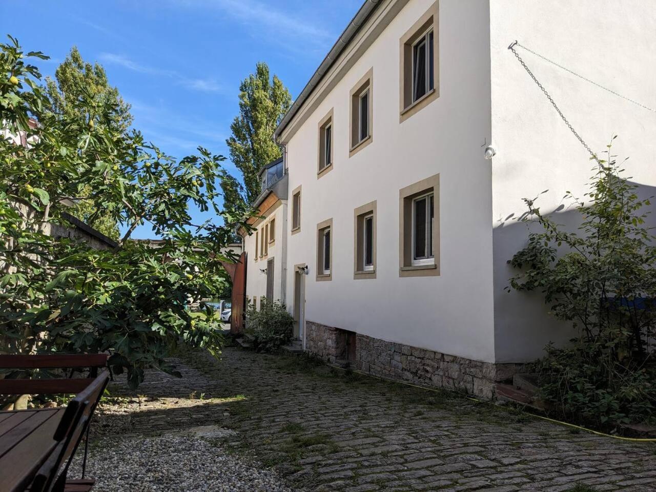 Wohnen am Main 1a ammain — hotel in Margetshochheim
