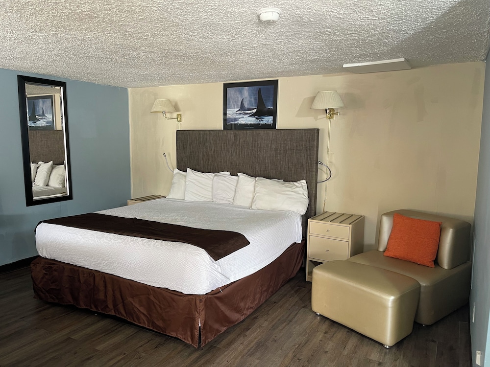 Safari Motel - photo 34