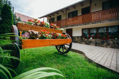 Gyöngyvirág Panzió in Lupeni, Romania