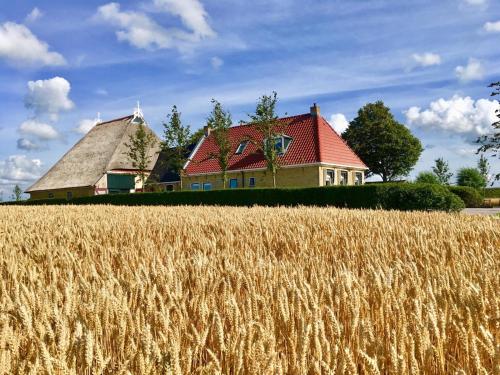 Oppe Klincke — Franeker — photo 2
