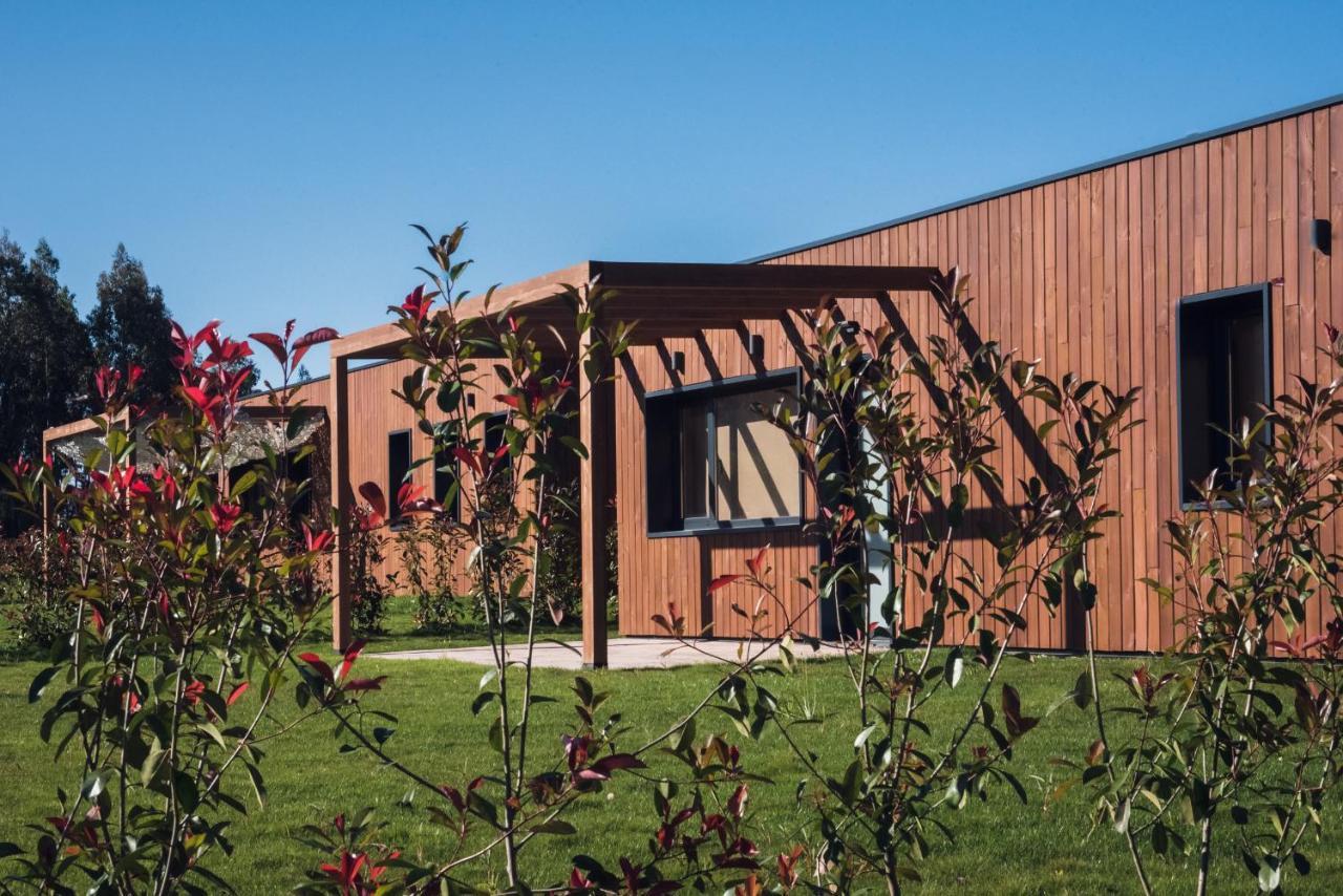 Suitesnature Ecocamp Beche 18003332 — Abegondo