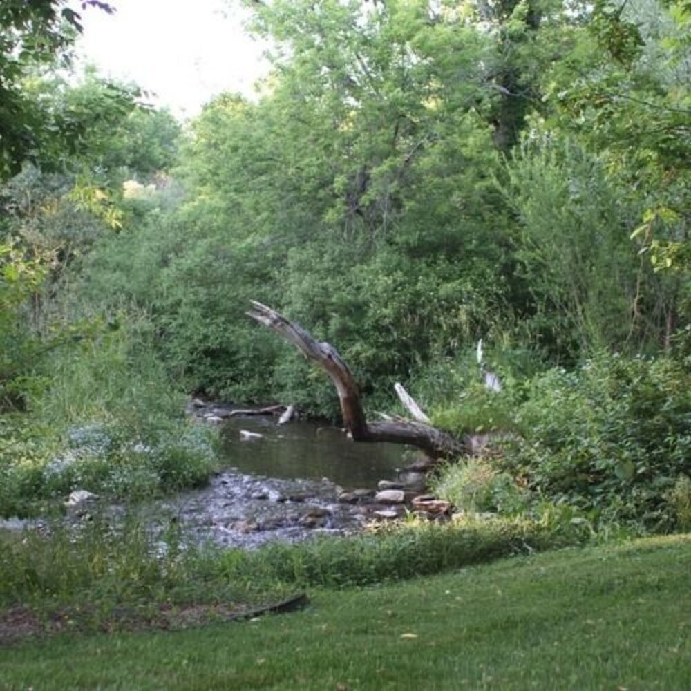 Hayden Creek Inn - photo 33