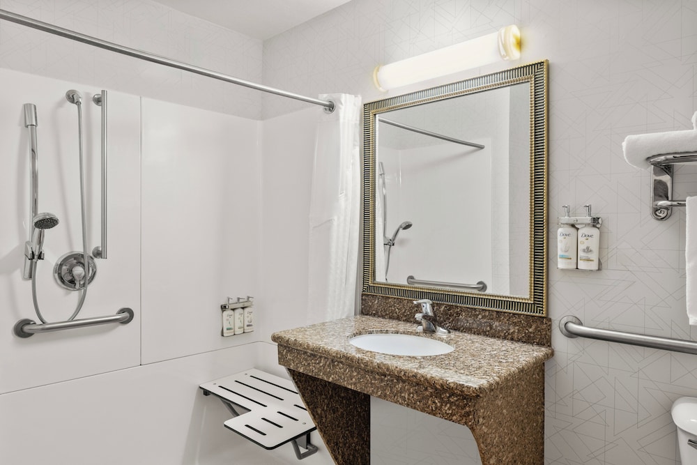 Holiday Inn Express & Suites New Buffalo by IHG - photo 10