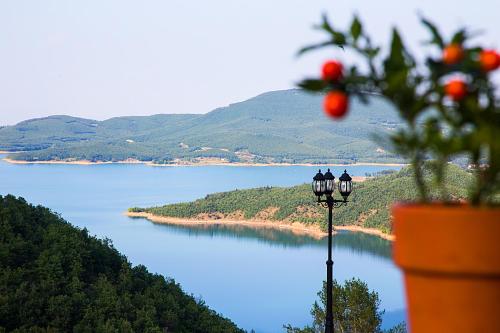 Χρυσοπελεια Chrisopeleia Lake View — Oichalia — photo 2