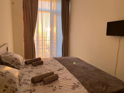 GONIO apartment