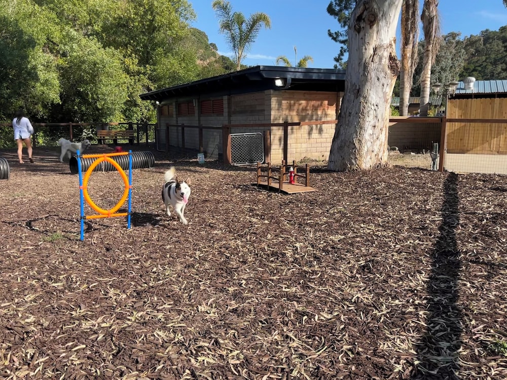 Avila Pismo RV Resort & Campground - photo 34