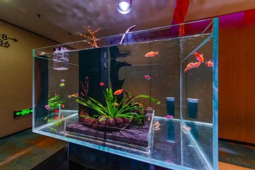 Cosy Inn in Chengdu, People's Republic of China