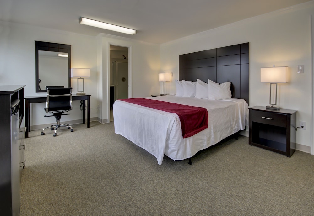 The Wellington Hotel & Suites Oceanblock - photo 21