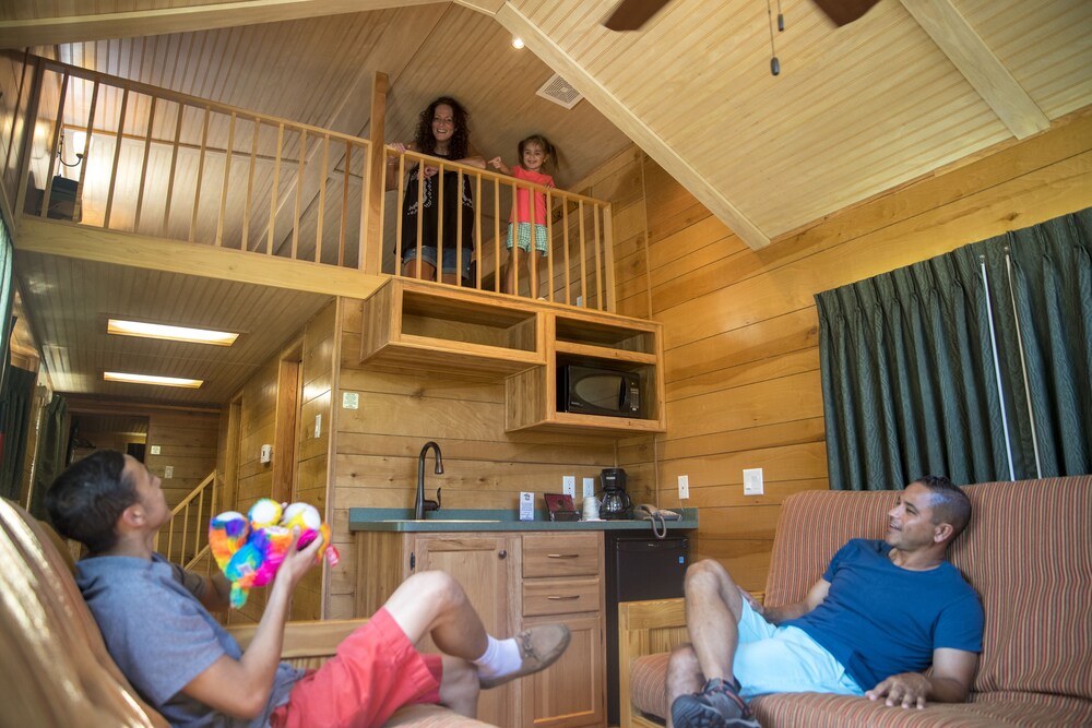 Richmond North Kings Dominion KOA - photo 9
