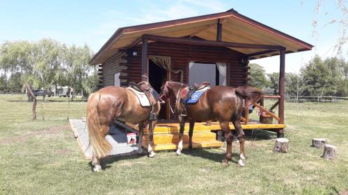 Cabaña Rural El Encuentro in San Antonio De Areco, Argentina