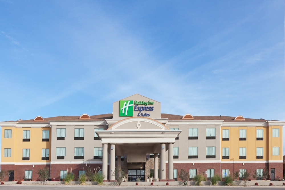 Holiday Inn Express Hotel & Suites Brownfield by IHG - photo 40