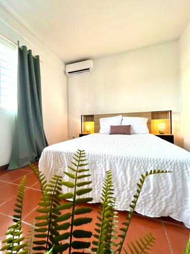 T2 calme proche ville Montabo — 4-Star Luxury Hotel in Cayenne, French Guiana
