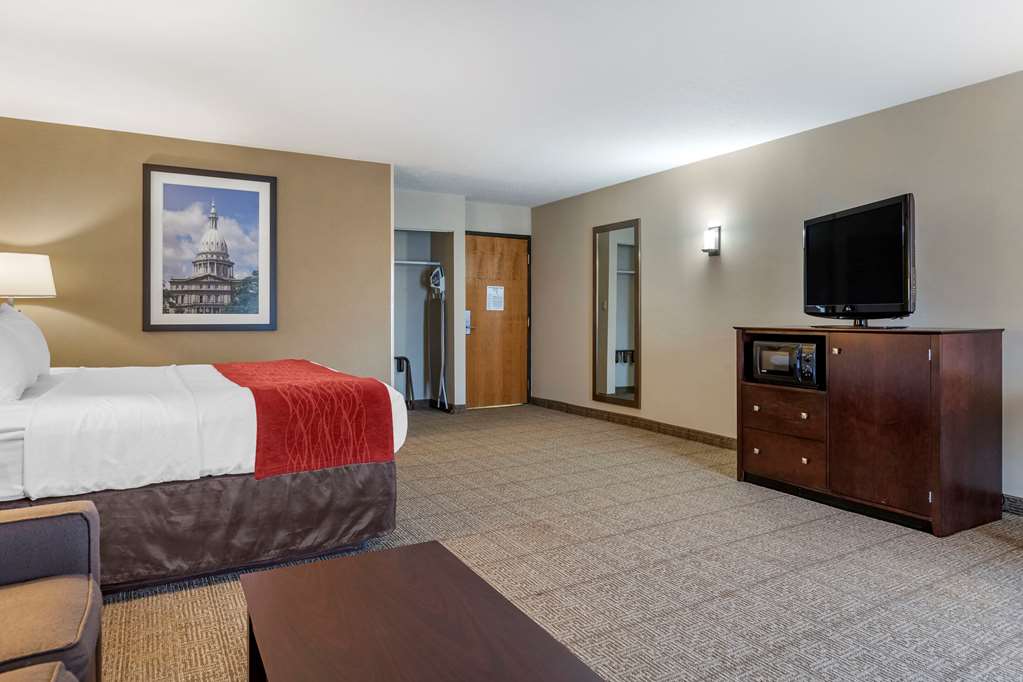 Comfort Inn Lansing West - photo 29