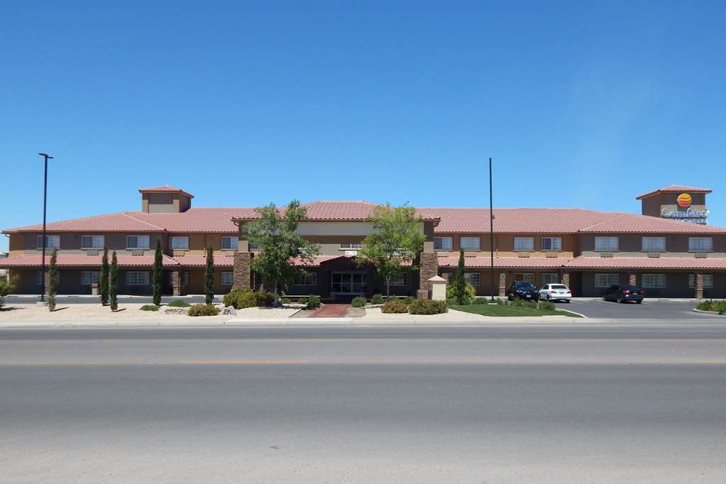 Comfort Inn & Suites Las Cruces Mesilla - photo 3