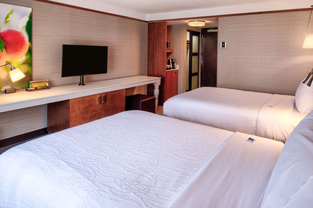 Hilton Garden Inn Detroit Southfield MI - photo 12