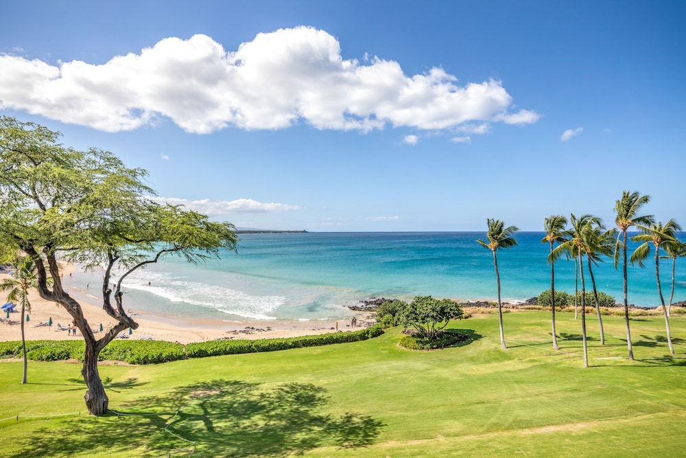 Mauna Kea Residences - photo 326