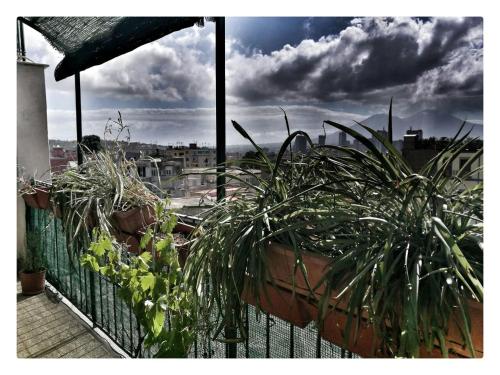 O'Sapunariello Skyline — 4-Star Luxury Hotel in Naples, Italy