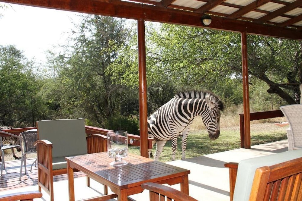 Turaco Lodge — 4-Star Luxury Hotel in Nelspruit, South Africa