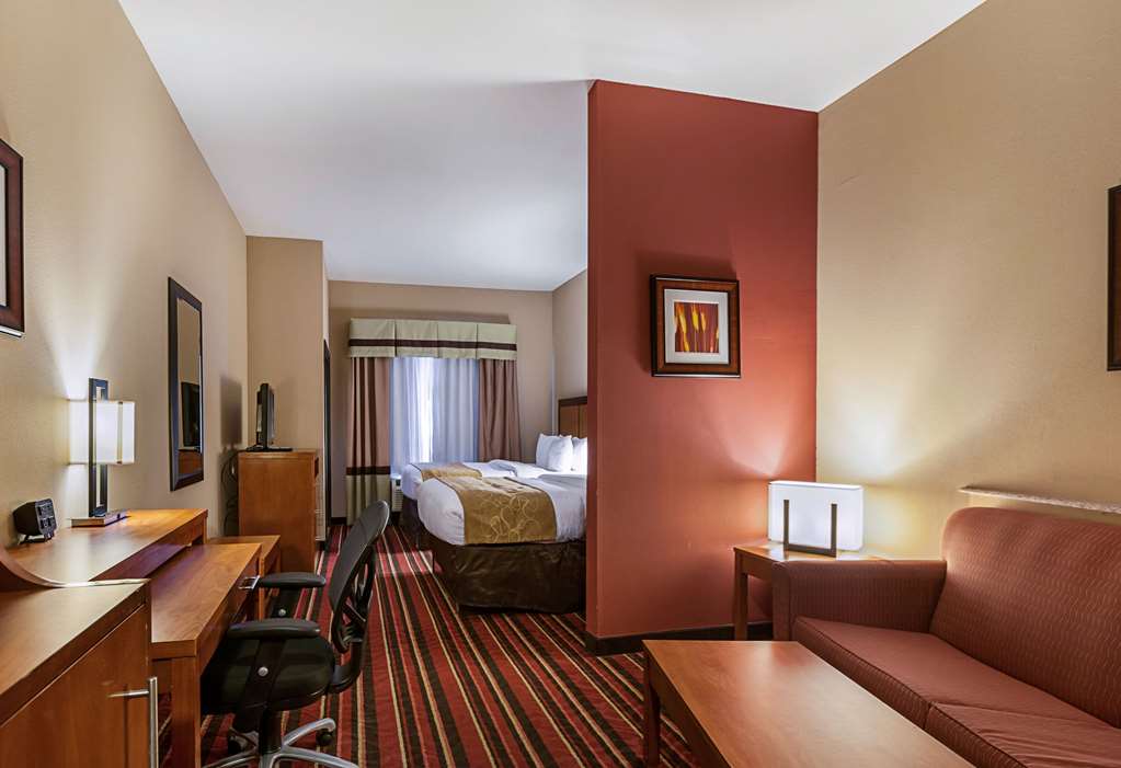 Comfort Suites Sulphur Lake Charles - photo 14