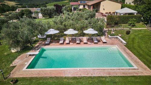 Il Passo Degli Ulivi in Civitella Marittima, Italy