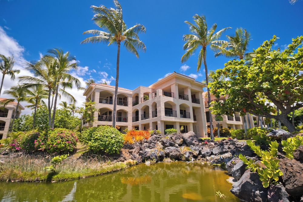 Hilton Pool Pass Incl. Serene Resort Gem - photo 47