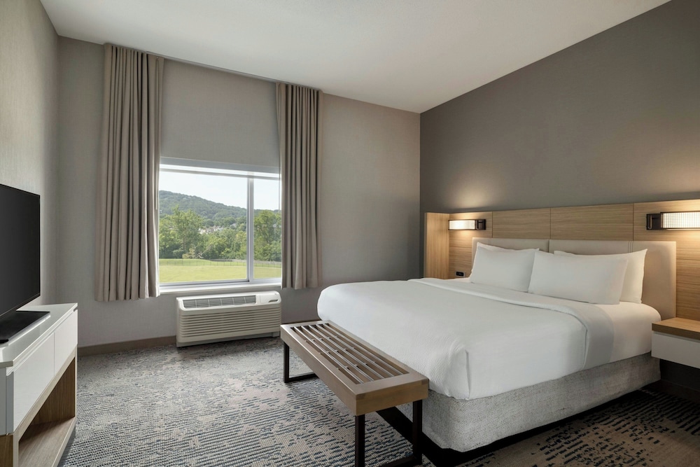 SpringHill Suites by Marriott Roanoke - photo 39