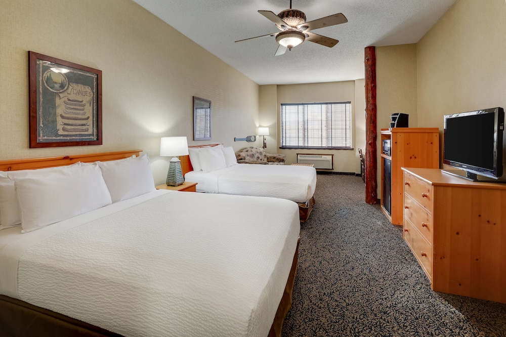 Stoney Creek Hotel Quad Cities Moline - photo 25