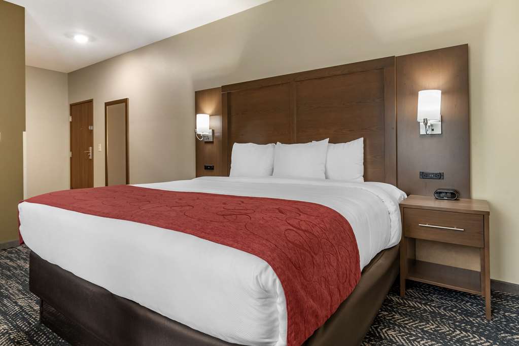 Comfort Inn & Suites Downtown near University - photo 13