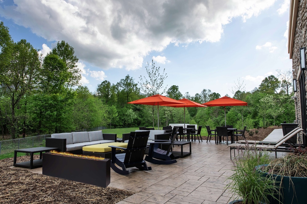 Hampton Inn Black Mountain - photo 20