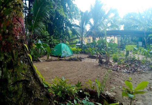 Cabinas Montesol in Puerto Viejo De Talamanca, Costa Rica