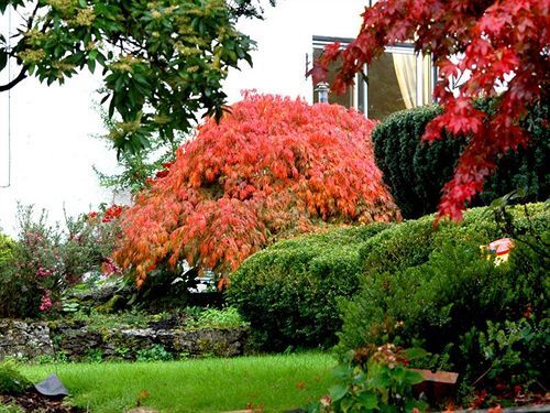 Broadview Guest House — 4-Star Luxury Hotel in Ambleside, United Kingdom