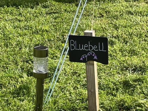 Willow Glamping - last minute hotel in Norwich