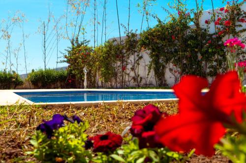 La casabella — Tangier — photo 3