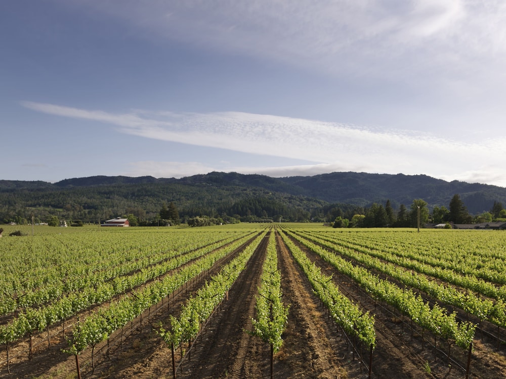 Harvest Inn - photo 5