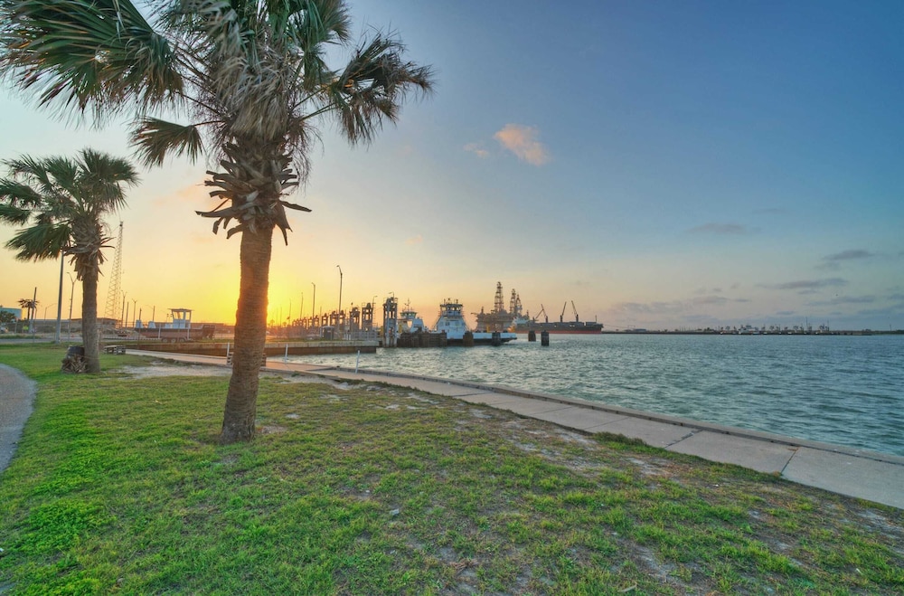 Salt & Sun by Avantstay Beach Access Pool - photo 32